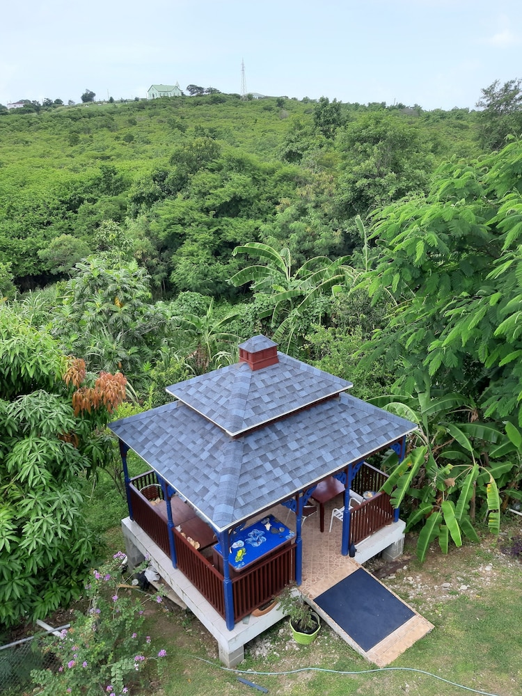 LambLion Holiday Apartments