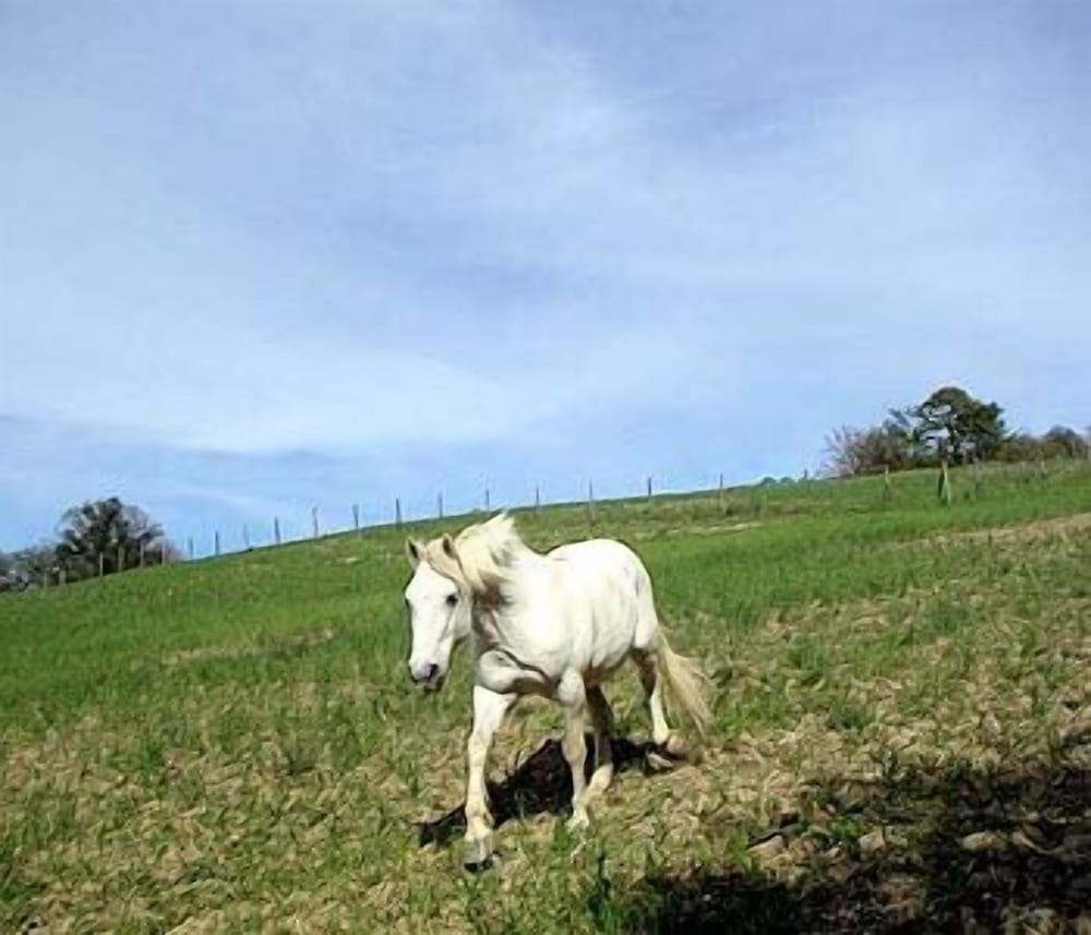 Photo 48