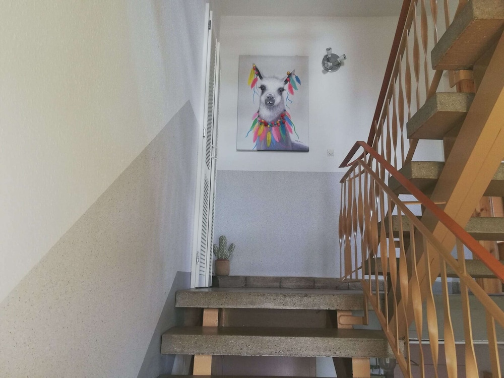 Apartment With Panoramic View