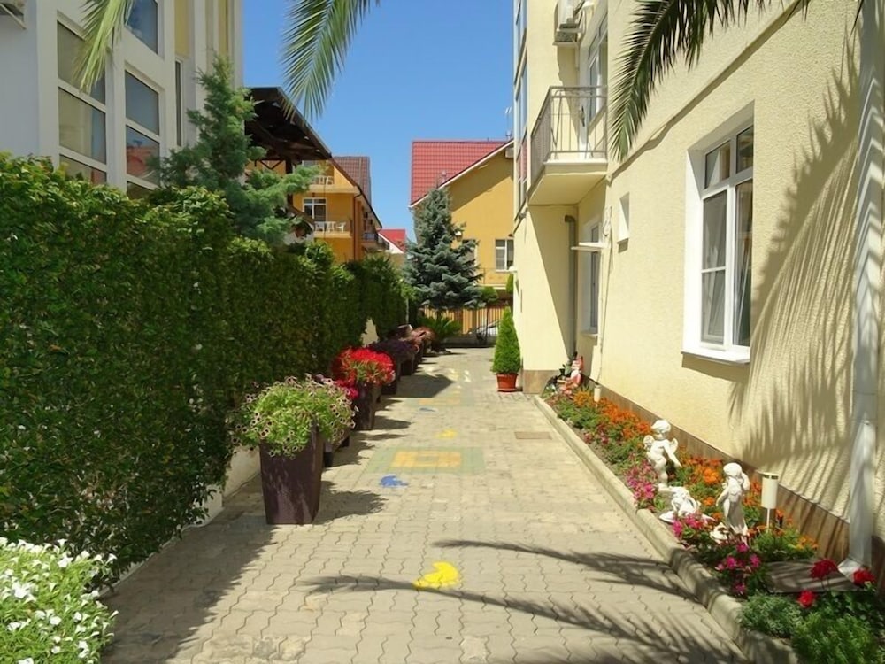 Photo 42