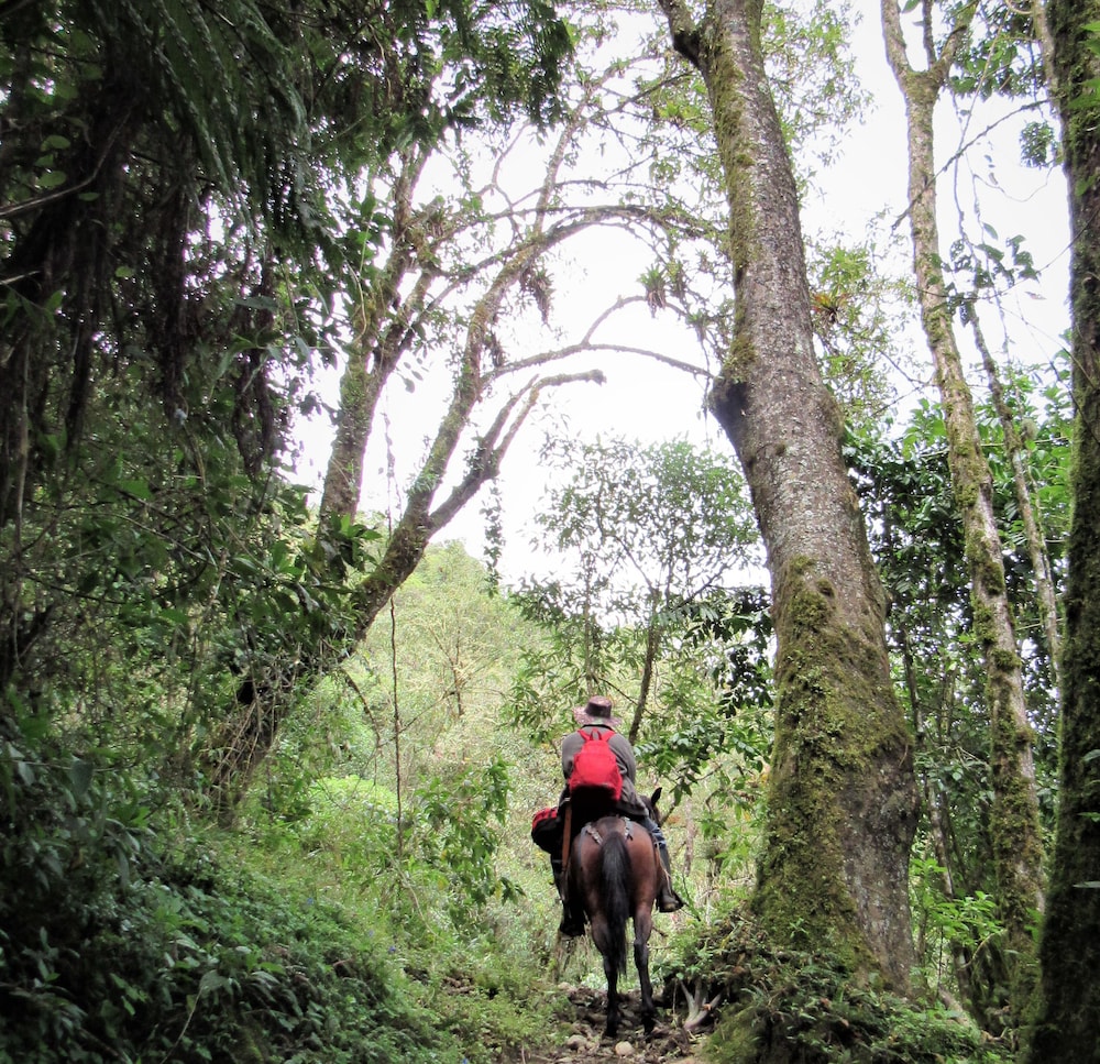 Finca Los Arboles
