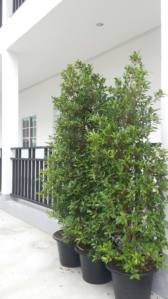 Photo 32