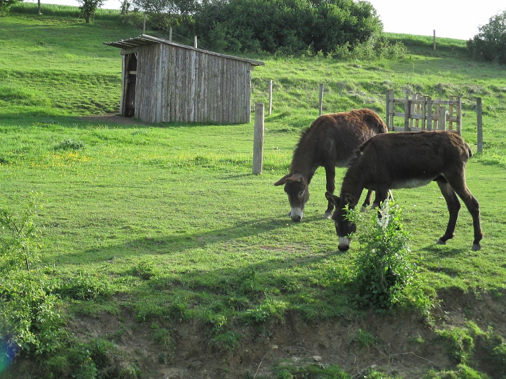 Ferme de Bellevue