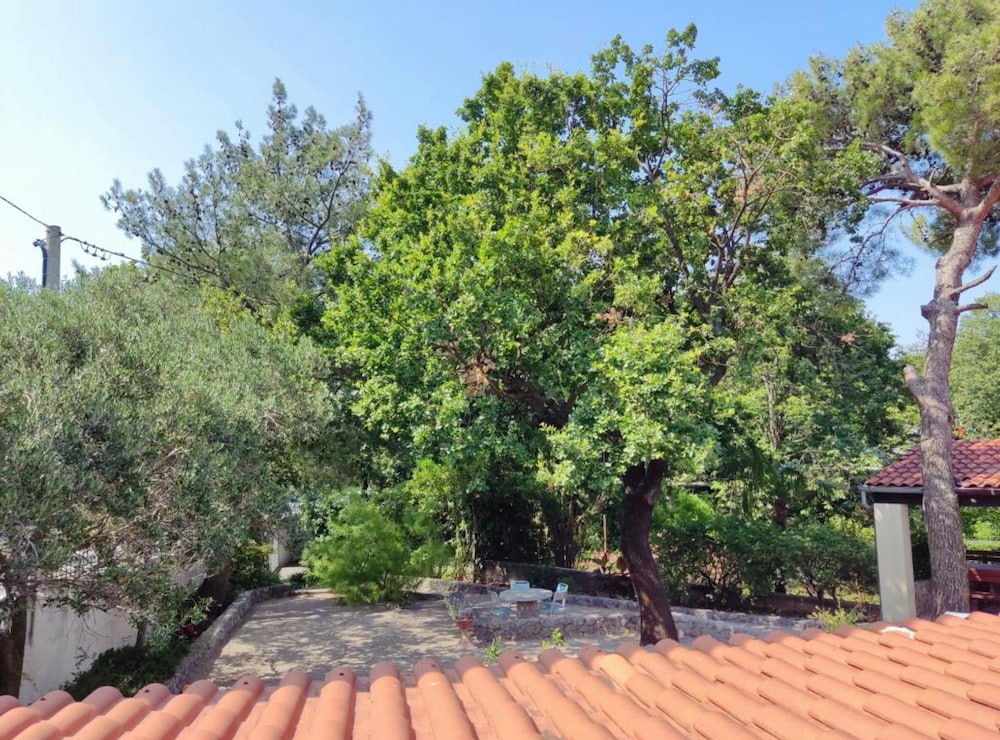 Apartment & Rooms Villa Oliva