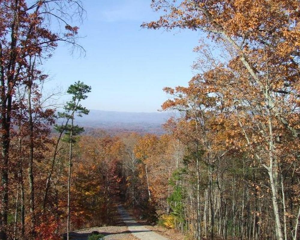 Lookout Lodge Nevaeh Cabin Rentals
