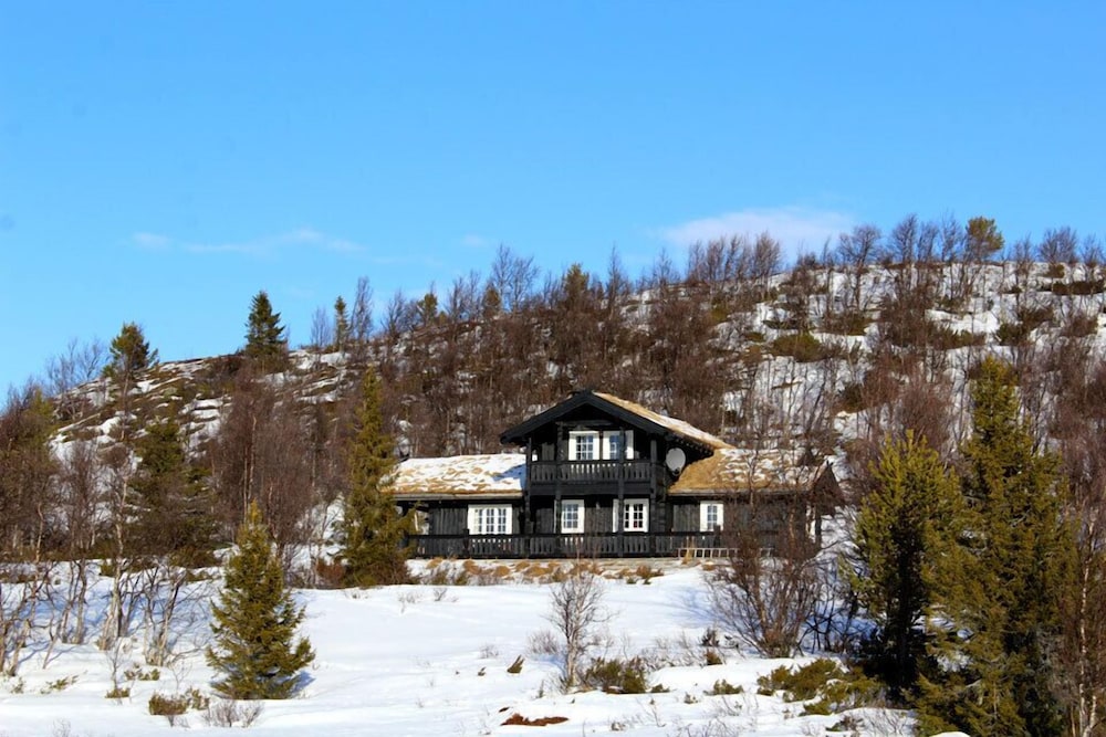 Kvitebjørn Cabin - Ål