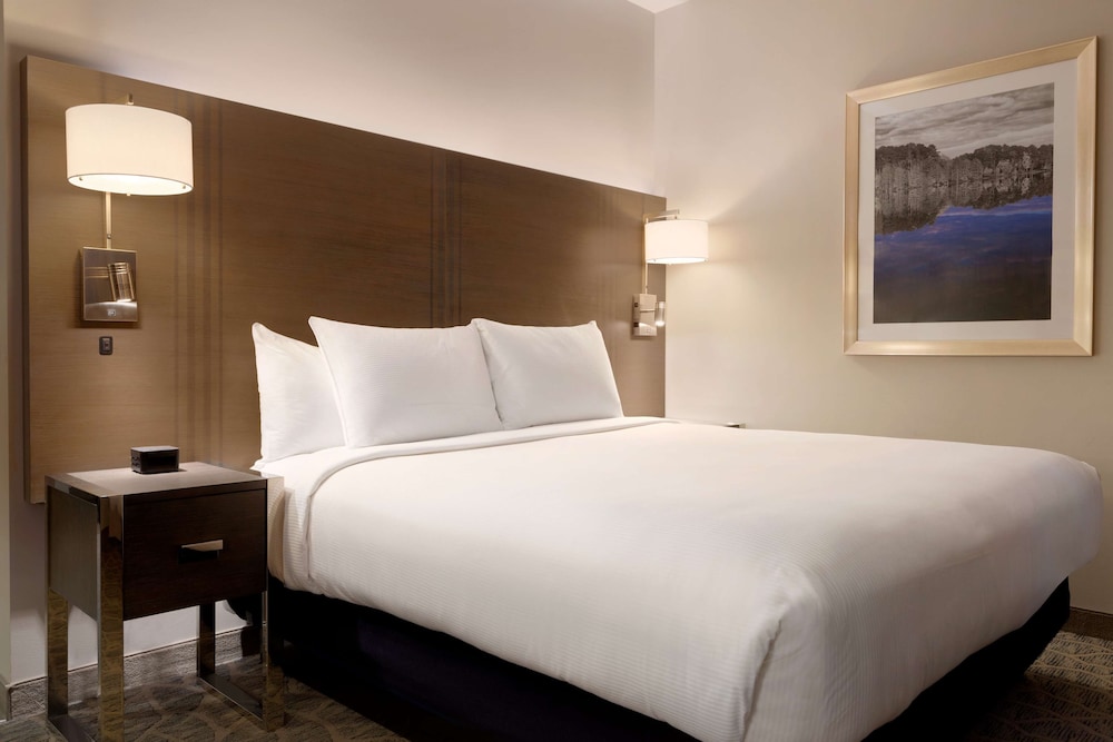 Embassy Suites by Hilton The Woodlands at Hughes Landing - Property Image 18