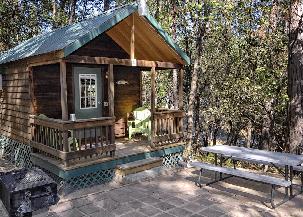 Photo 133