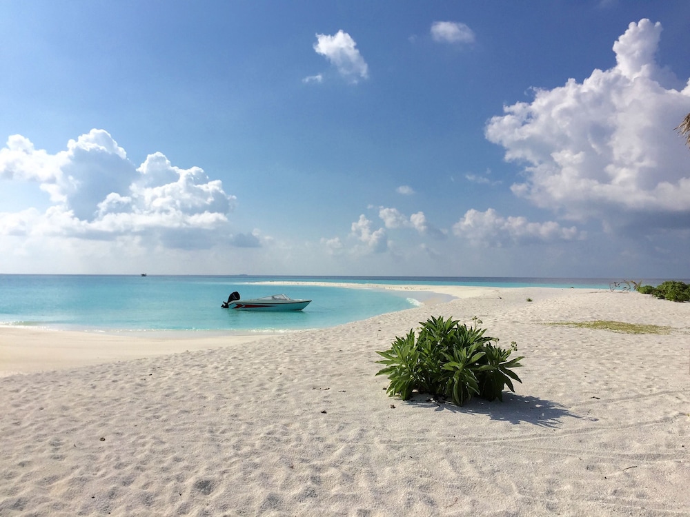 Dhivehi Experience
