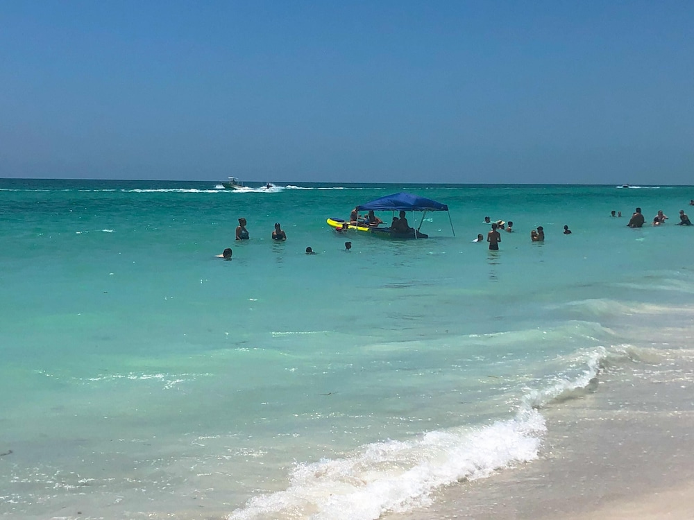 Anna Maria Island Beach Palms 7A