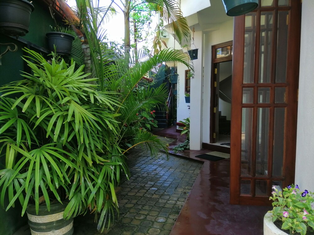 Photo 25