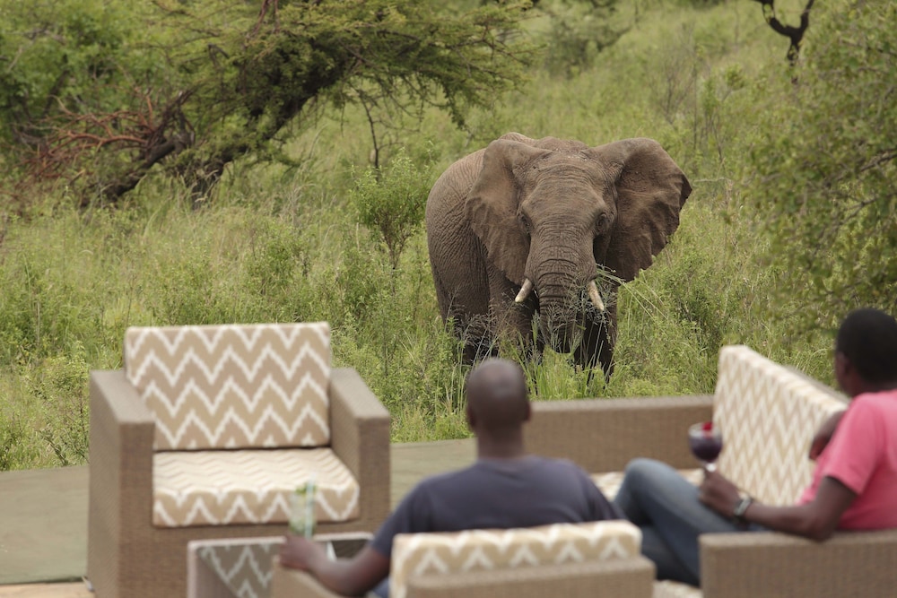 Spirit Of The Masai Mara