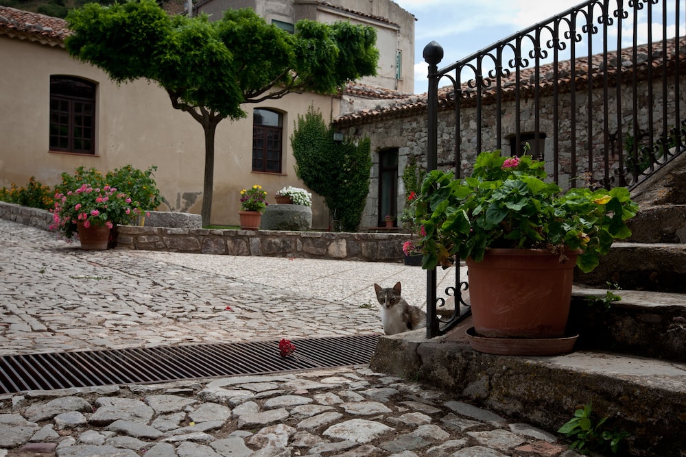 Il Vecchio Frantoio