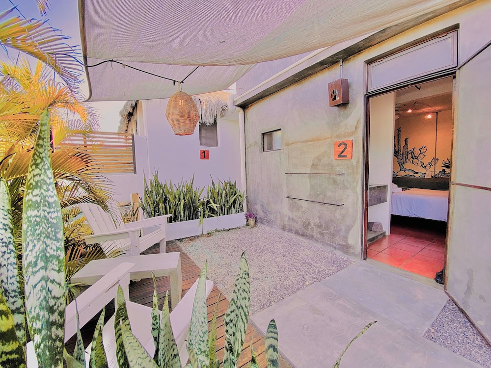 Perro Surfero Hotel Boutique - Todos Santos, BCS