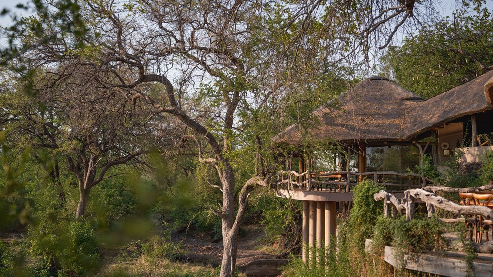 Mashatu Lodge - Mashatu Game Reserve