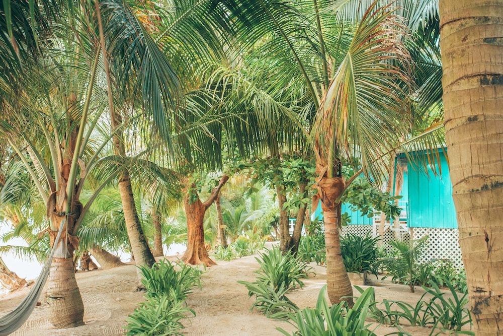 Ranguana Caye Cabanas