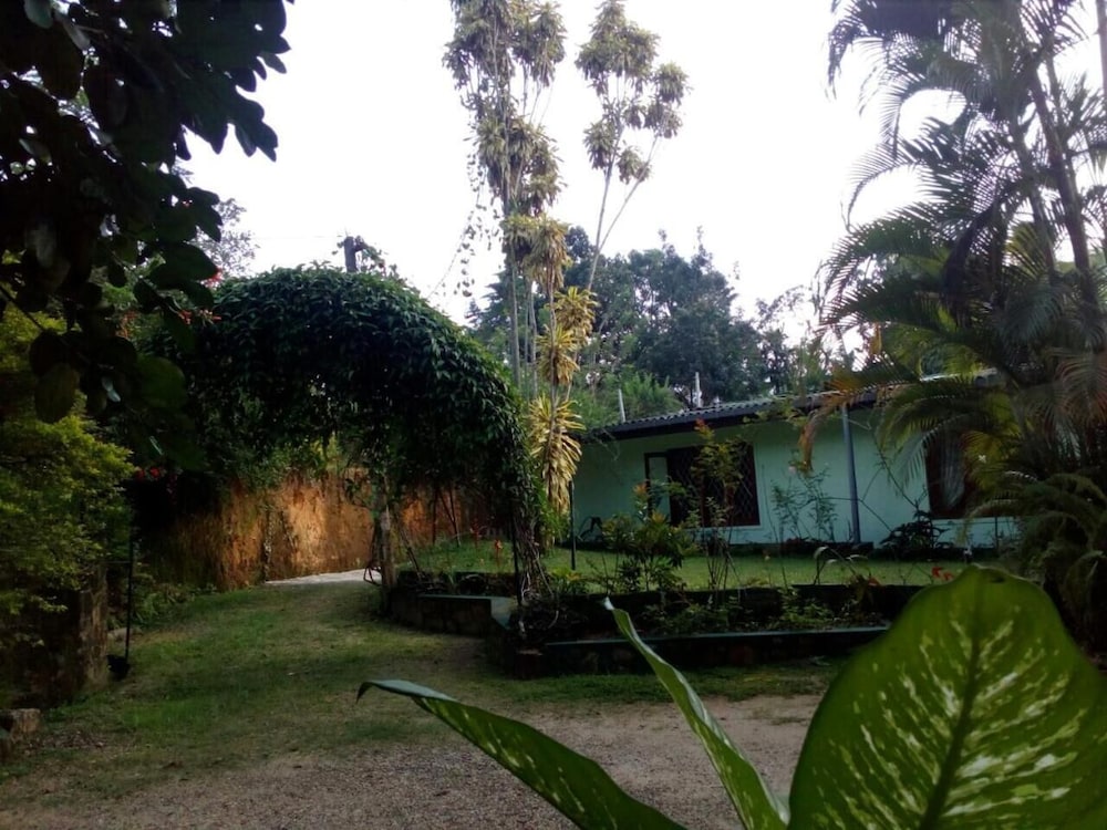 Lizzie Villa Guest House