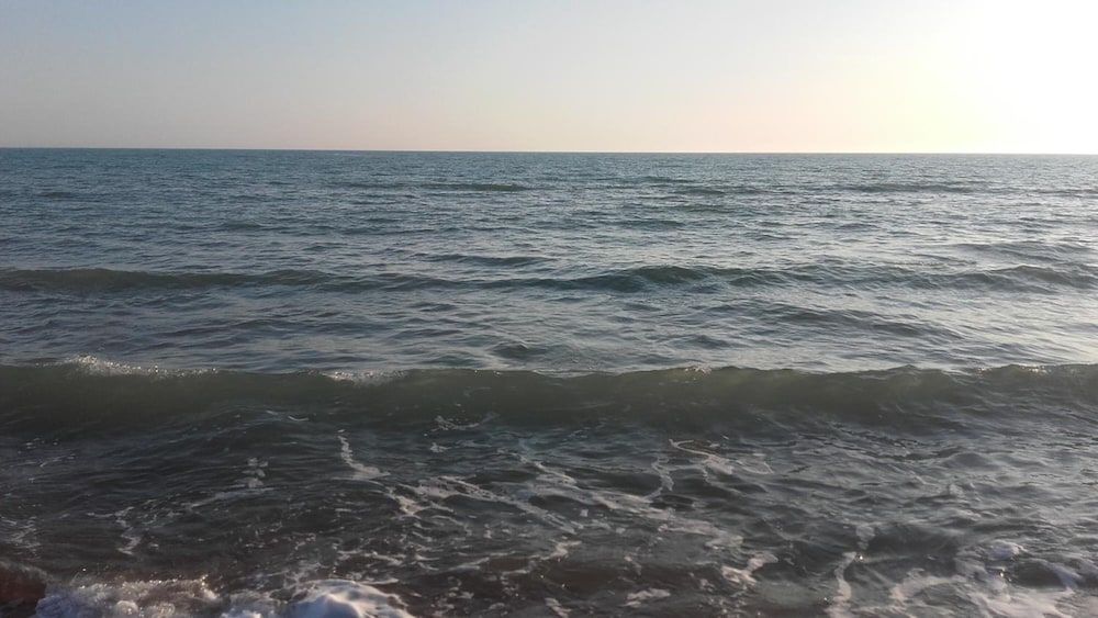 Photo 33