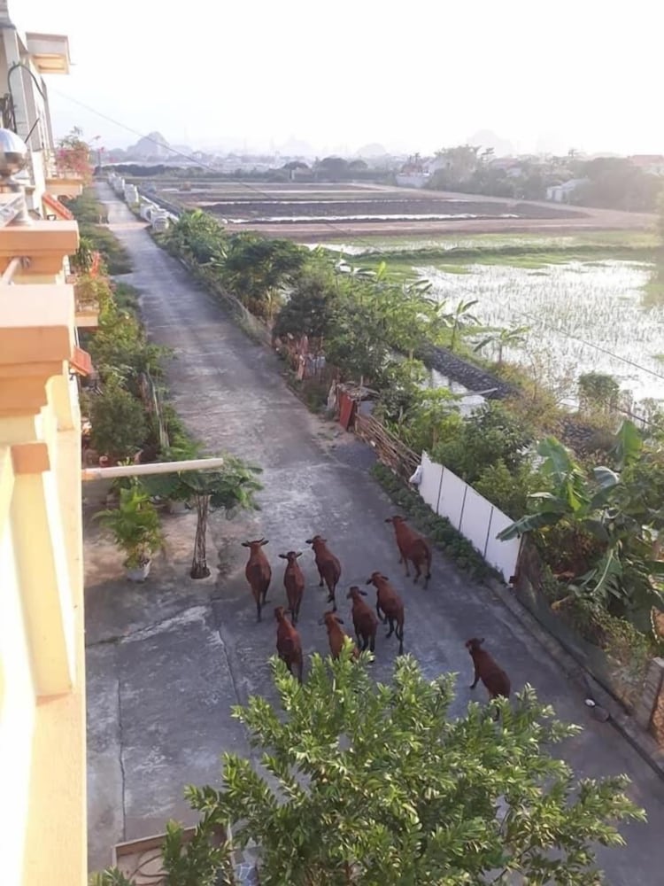 Tam Coc Craft Homestay