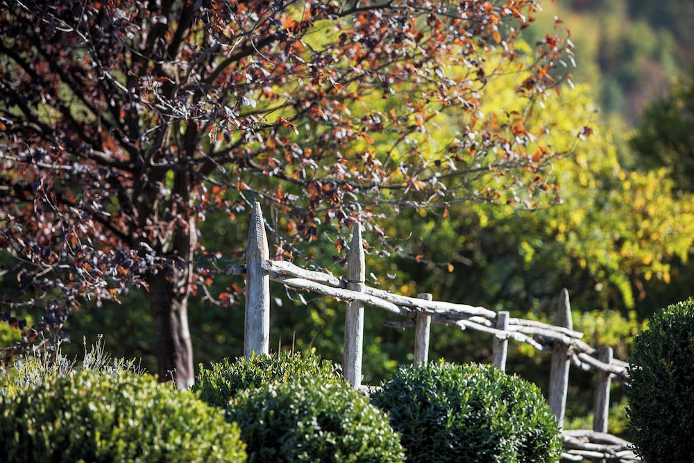 Tenuta Moncarlino