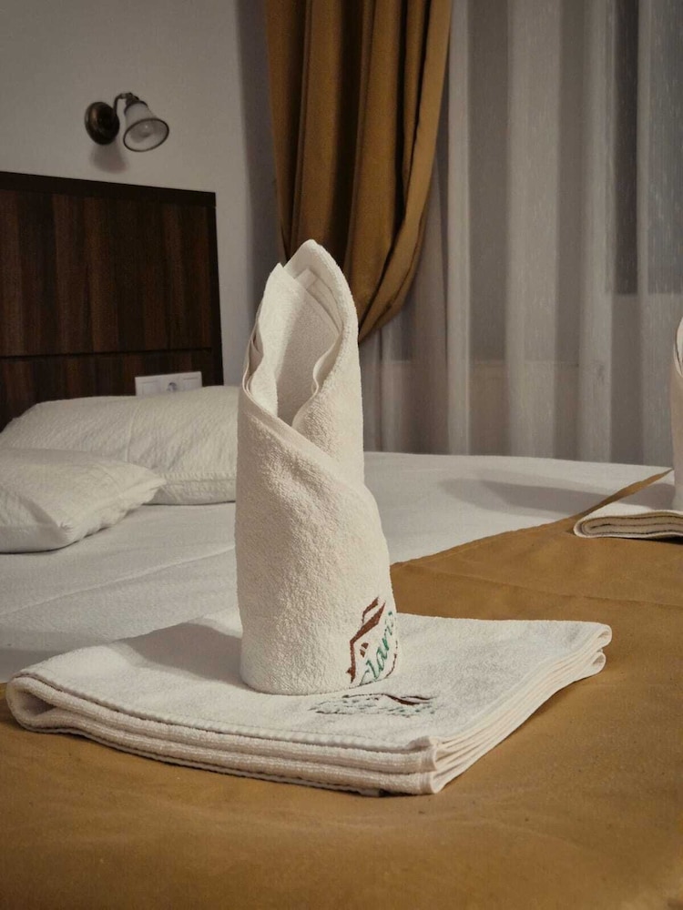 Hotel Claris Valiug