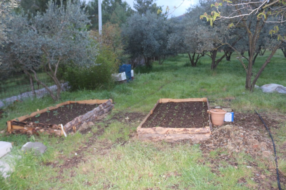 Photo 43