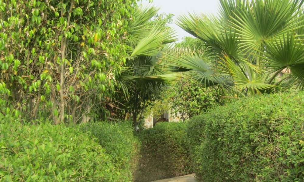 Van Chhavi Resort