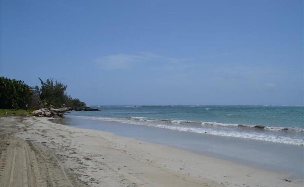 Oceanic View Apartment at Fern Court, photo 11