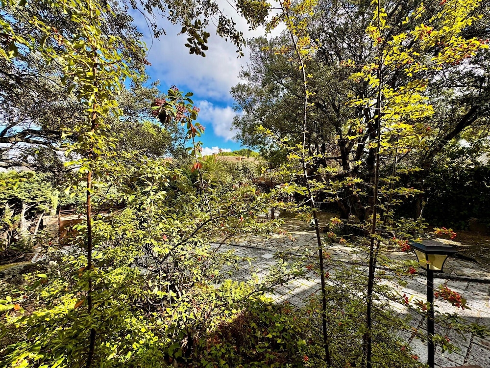 Rural Apartment With Direct Access to the Pool