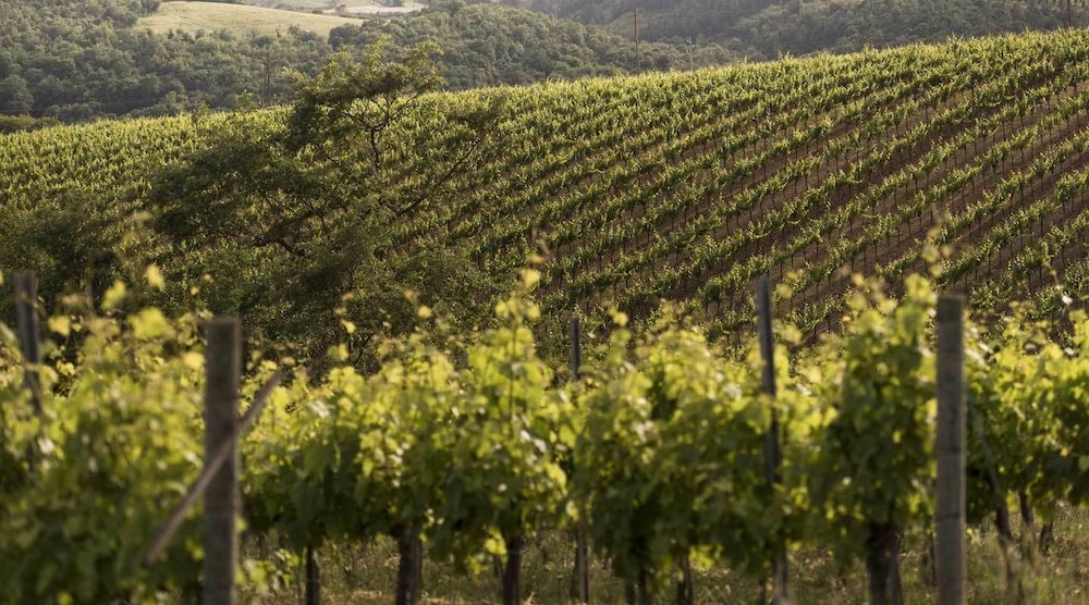 Agriturismo Pomonte