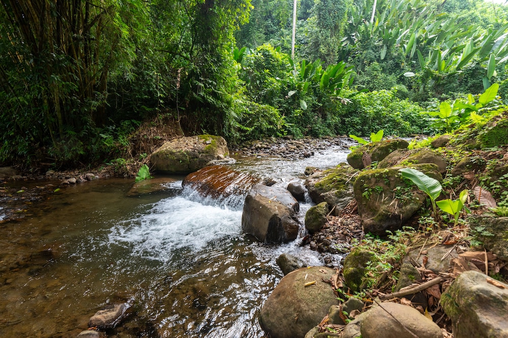 Villa el Bosque La Fortuna