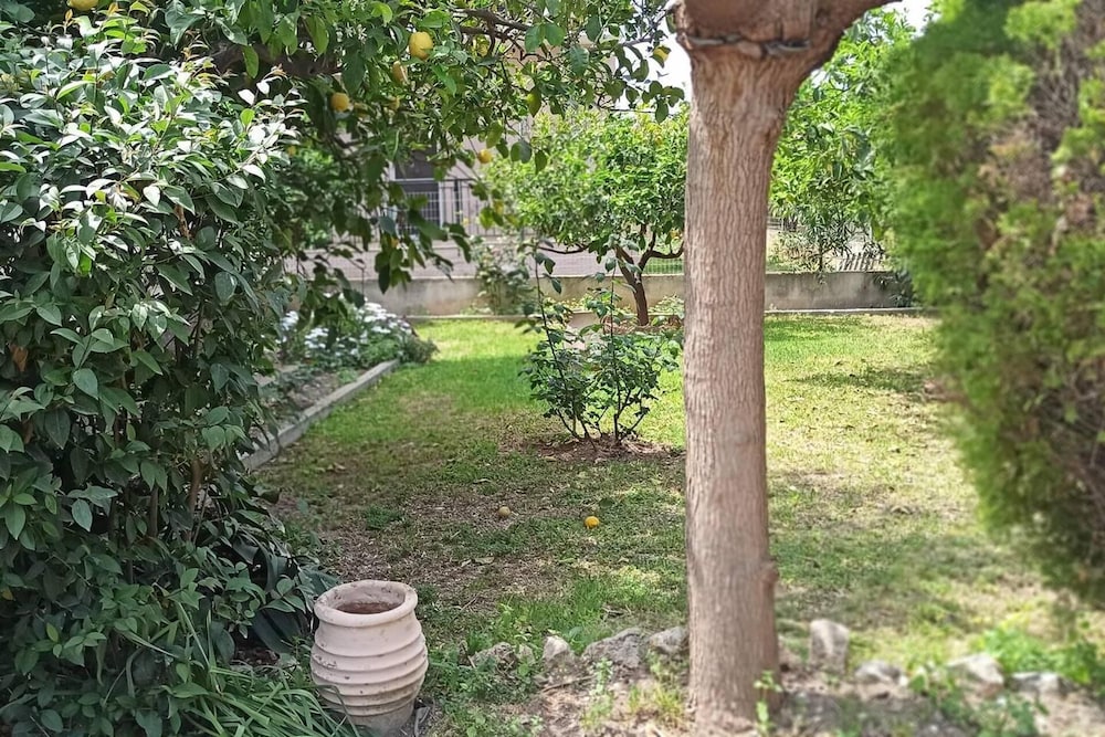 Lovely 2-bedroom Villa in Akrata, all Seasons! view 3
