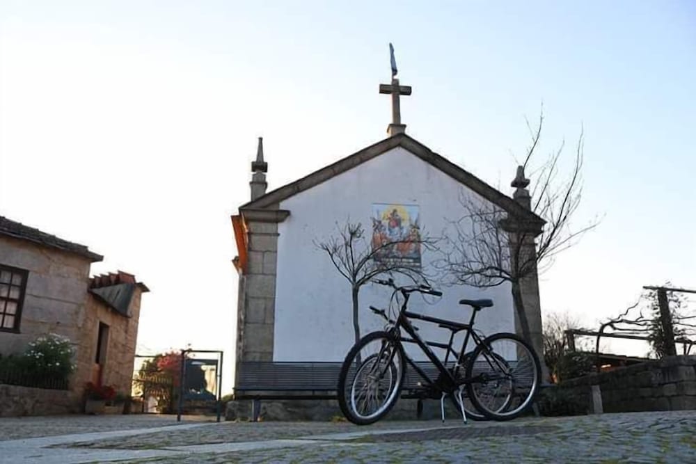 Photo 44