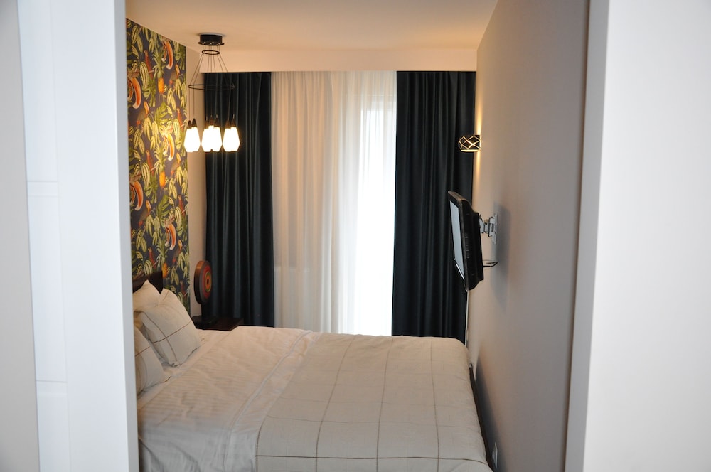 ApartmentSun Parrot view 5