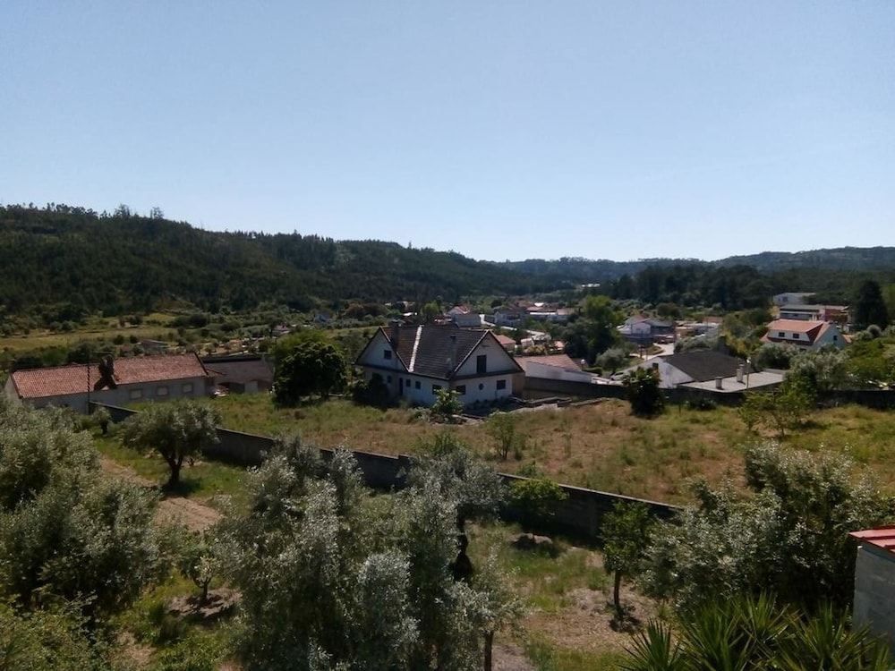 Photo 26