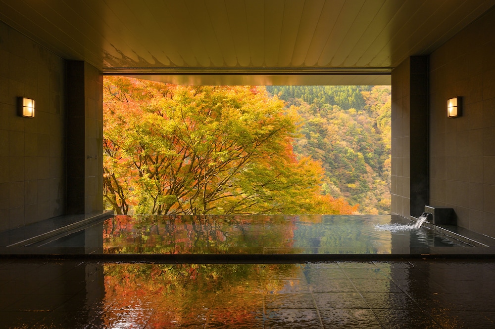 Hotel Iyaonsen