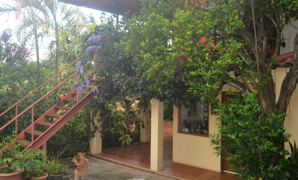 Eden Atenas