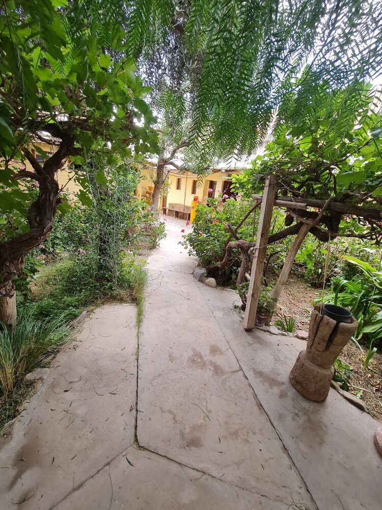 Andino Hostel