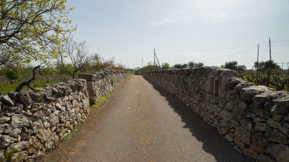 Photo 33