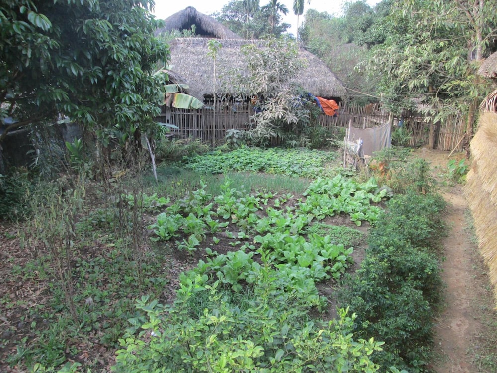 Dong Que Homestay-Tours-Motorbike, Car rental, Hiking