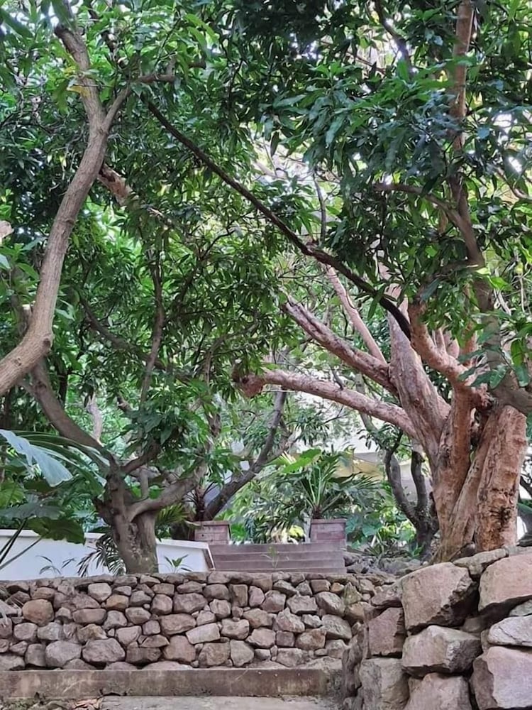 Chez Mango Villas - Photo 54