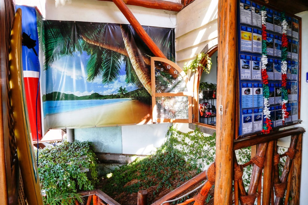 Hostel Natura