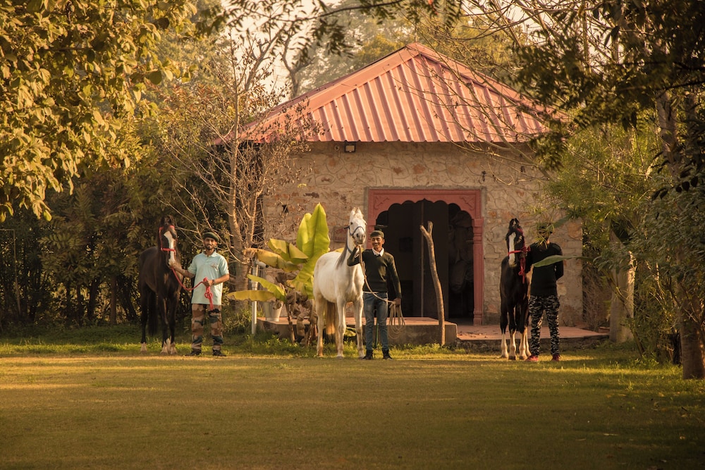 Maa Ashapura Resort