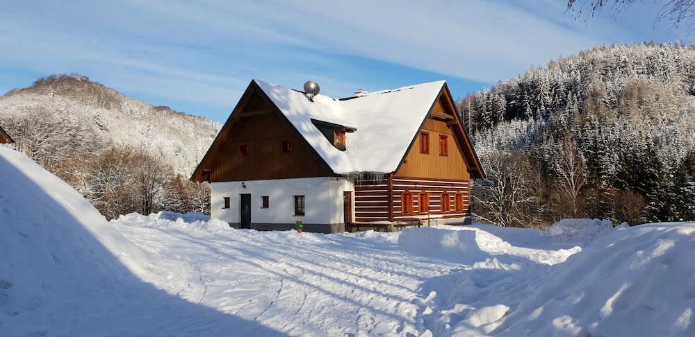 Holiday Home in Zacler by Family Ski Park