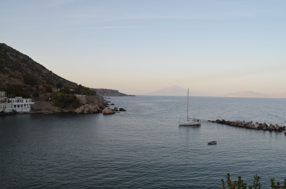 Photo 41