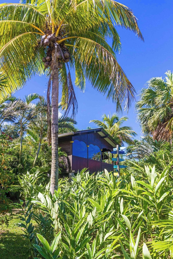Piton Bungalows Ecolodges - hotel in 7 impasse Pomme Rose, Deshaies