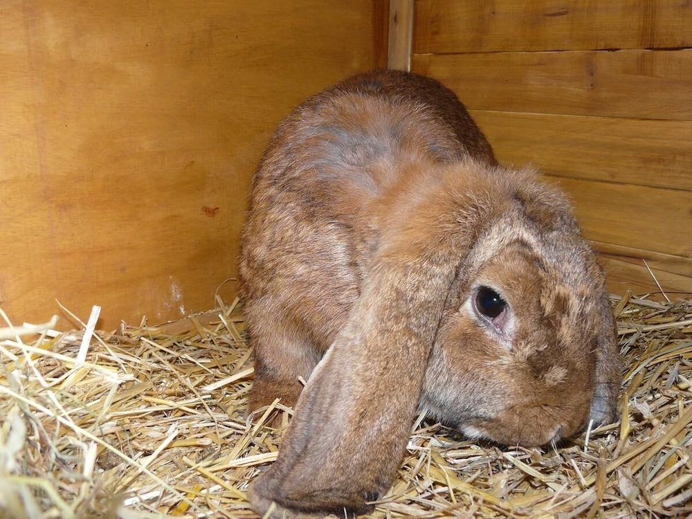 Photo 24