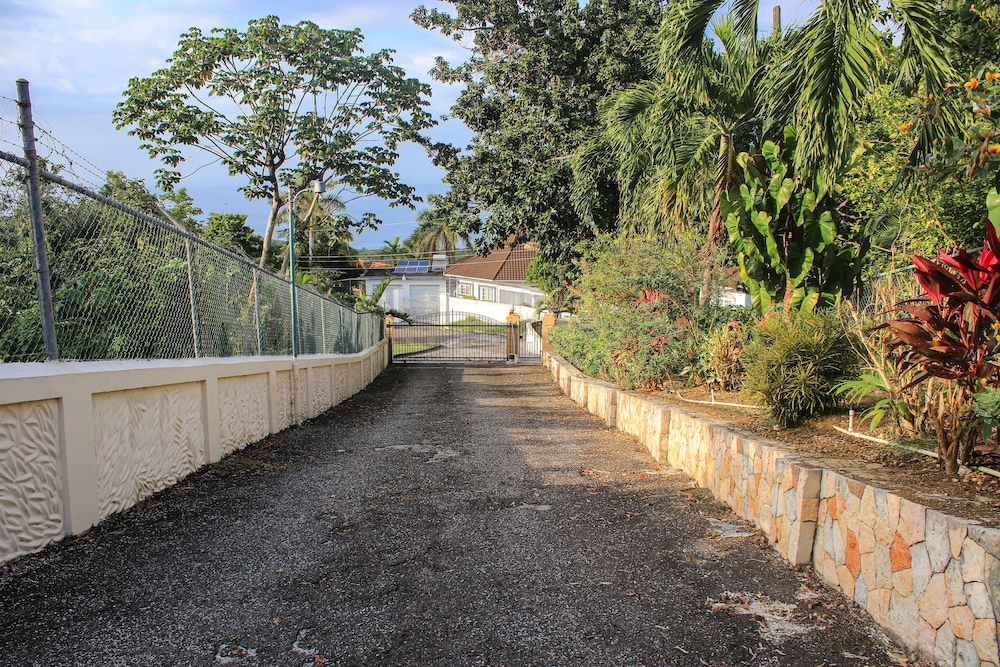 Photo 40