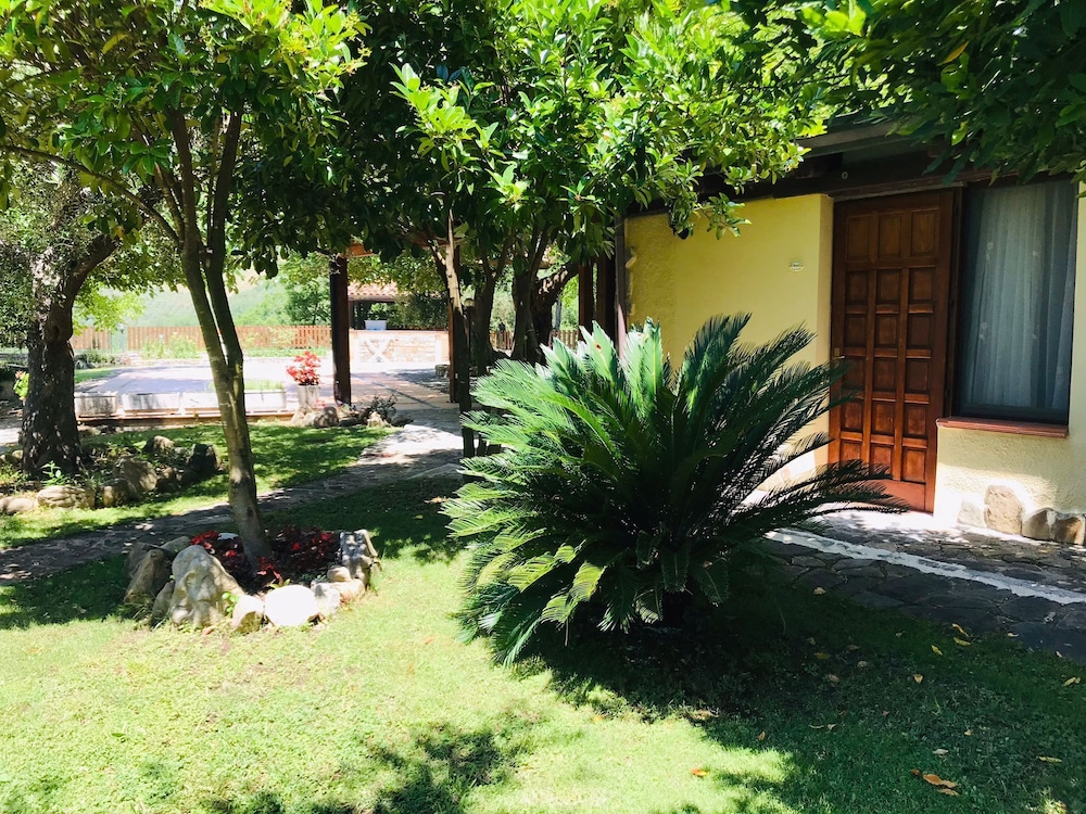 Photo 18