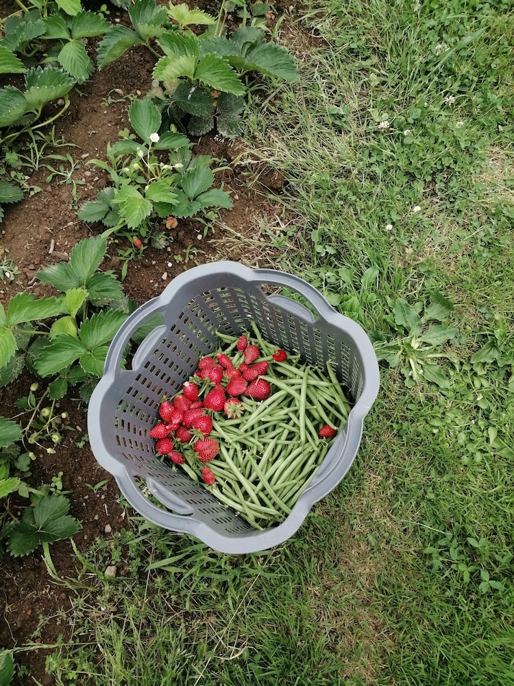 Photo 30